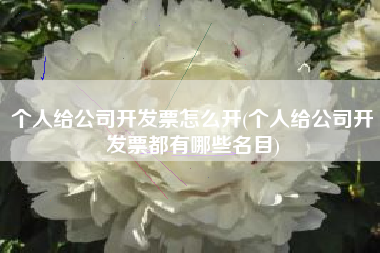 个人给公司开发票怎么开(个人给公司开发票都有哪些名目)