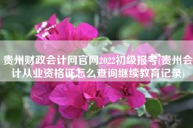 贵州财政会计网官网2022初级报考(贵州会计从业资格证怎么查询继续教育记录)