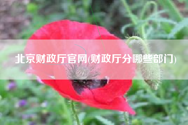 北京财政厅官网(财政厅分哪些部门)