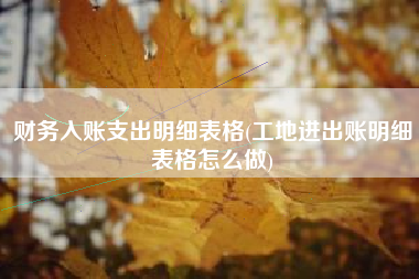 财务入账支出明细表格(工地进出账明细表格怎么做)