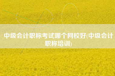 中级会计职称考试哪个网校好(中级会计职称培训)