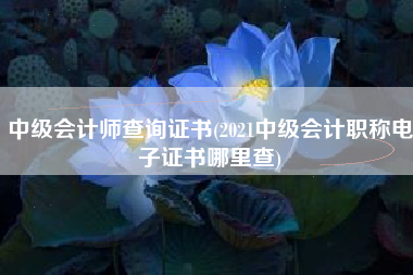 中级会计师查询证书(2021中级会计职称电子证书哪里查)