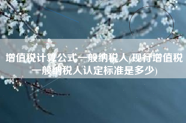 增值税计算公式一般纳税人(现行增值税一般纳税人认定标准是多少)