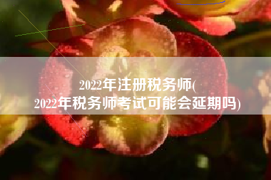 2022年注册税务师(
2022年税务师考试可能会延期吗)