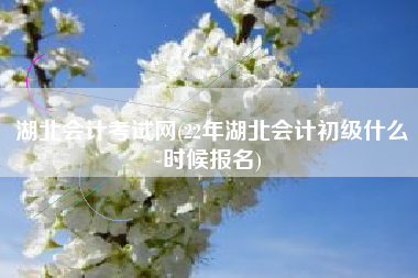 湖北会计考试网(22年湖北会计初级什么时候报名)