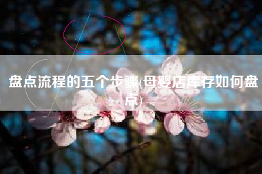 盘点流程的五个步骤(母婴店库存如何盘点)