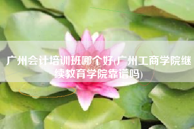 广州会计培训班哪个好(广州工商学院继续教育学院靠谱吗)