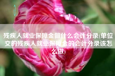 残疾人就业保障金做什么会计分录(单位交的残疾人就业保障金的会计分录该怎么做)