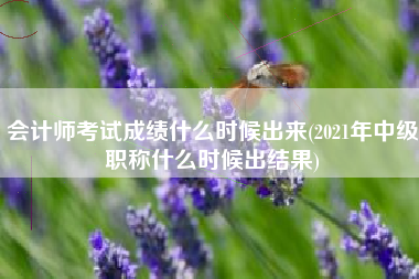 会计师考试成绩什么时候出来(2021年中级职称什么时候出结果)