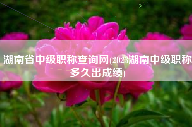 湖南省中级职称查询网(2023湖南中级职称多久出成绩)