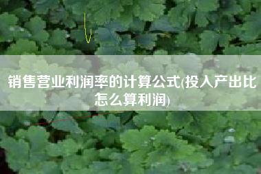 详细阅读:销售营业利润率的计算公式(投入产出比怎么算利润) 销售营业利润率的计算公式(投入产出比怎么算利润)