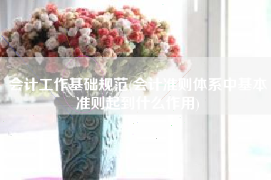 详细阅读:会计工作基础规范(会计准则体系中基本准则起到什么作用) 会计工作基础规范(会计准则体系中基本准则起到什么作用)