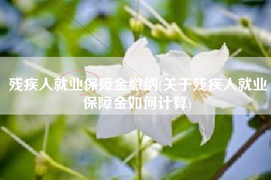 详细阅读:残疾人就业保障金缴纳(关于残疾人就业保障金如何计算) 残疾人就业保障金缴纳(关于残疾人就业保障金如何计算)