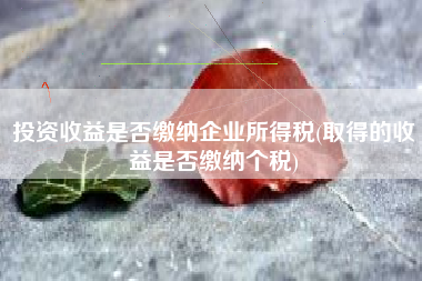 详细阅读:投资收益是否缴纳企业所得税(取得的收益是否缴纳个税) 投资收益是否缴纳企业所得税(取得的收益是否缴纳个税)