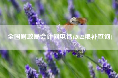 详细阅读:全国财政局会计网电话(2022粮补查询) 全国财政局会计网电话(2022粮补查询)