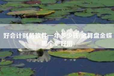 详细阅读:好会计财务软件一年多少钱(金算盘金蝶哪个更好用) 好会计财务软件一年多少钱(金算盘金蝶哪个更好用)