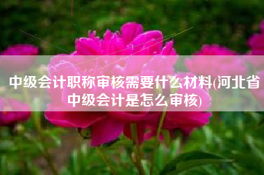 详细阅读:中级会计职称审核需要什么材料(河北省中级会计是怎么审核) 中级会计职称审核需要什么材料(河北省中级会计是怎么审核)