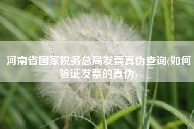 详细阅读:河南省国家税务总局发票真伪查询(如何验证发票的真伪) 河南省国家税务总局发票真伪查询(如何验证发票的真伪)