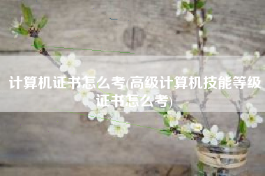 计算机证书怎么考(高级计算机技能等级证书怎么考)