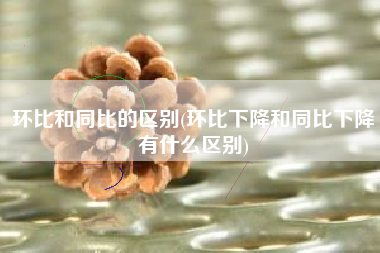 环比和同比的区别(环比下降和同比下降有什么区别)