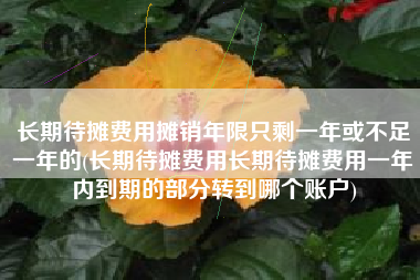 长期待摊费用摊销年限只剩一年或不足一年的(长期待摊费用长期待摊费用一年内到期的部分转到哪个账户)