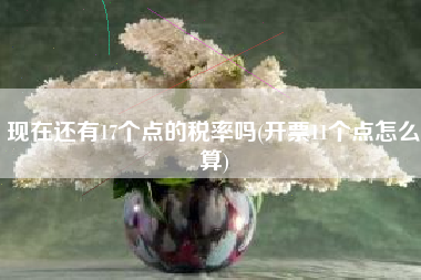 现在还有17个点的税率吗(开票11个点怎么算)