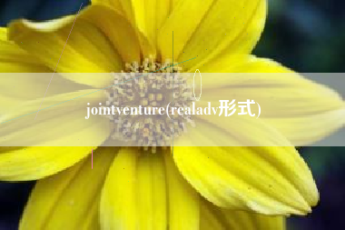 jointventure(realadv形式)