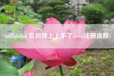 accaglobal 官网晚上上不了(acca注册流程)