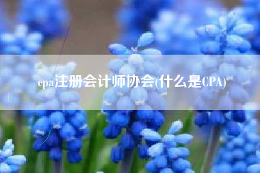 cpa注册会计师协会(什么是CPA)