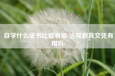 自学什么证书比较有用(远程教育文凭有用吗)