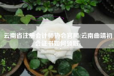 云南省注册会计师协会官网(云南曲靖初会证书如何领取)