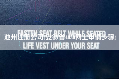 池州注册公司(安徽省4050网上申请步骤)