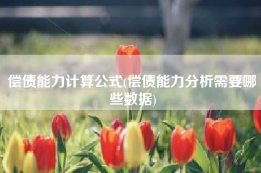 偿债能力计算公式(偿债能力分析需要哪些数据)