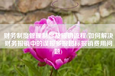 财务制度管理制度及报销流程(如何解决财务报销中的误报多报超标报销费用问题)