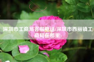 深圳市工商局客服电话(深圳市西丽镇工商局在那里)