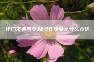 出口发票融资,融资性贸易是什么意思