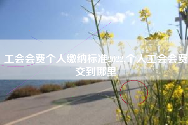 工会会费个人缴纳标准2022,个人工会会费交到哪里