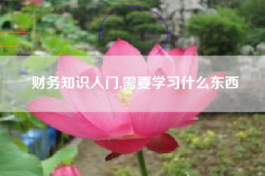 财务知识入门,需要学习什么东西