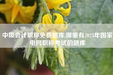 中级会计职称免费题库,哪里有2023年国家电网职称考试的题库