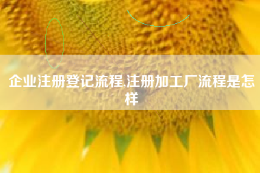 企业注册登记流程,注册加工厂流程是怎样