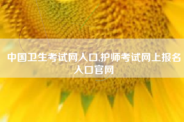 中国卫生考试网入口,护师考试网上报名入口官网
