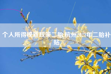 个人所得税新政策二胎,杭州2021年二胎补贴