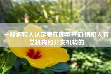 一般纳税人认定表在哪里查询,纳税人有总机构和分支机构的