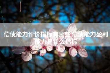 偿债能力评价指标有哪些,偿债能力盈利能力是什么指标