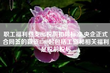 职工福利费支出税前扣除标准,央企正式合同签的薪资8500起包括工资和相关福利是税前税后