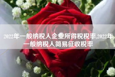 2022年一般纳税人企业所得税税率,2022年一般纳税人简易征收税率