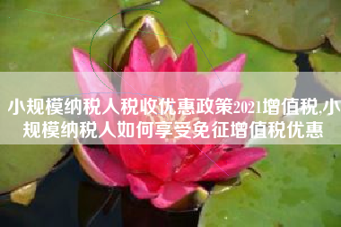 小规模纳税人税收优惠政策2021增值税,小规模纳税人如何享受免征增值税优惠