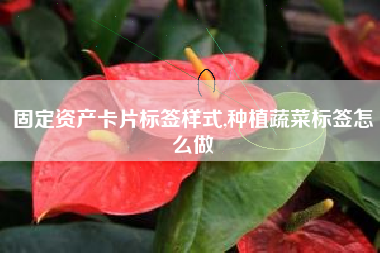 固定资产卡片标签样式,种植蔬菜标签怎么做