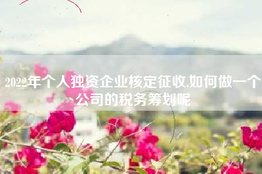 2022年个人独资企业核定征收,如何做一个公司的税务筹划呢