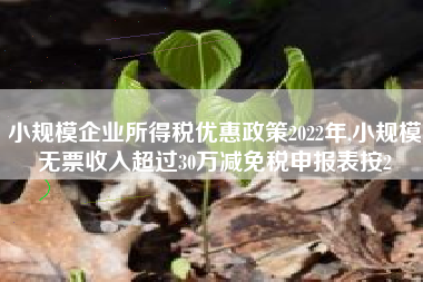 小规模企业所得税优惠政策2022年,小规模无票收入超过30万减免税申报表按2